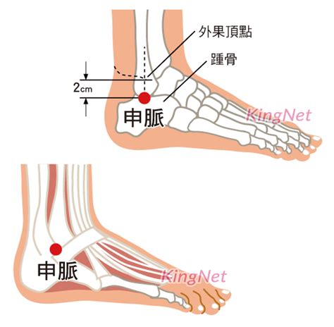 申脈穴位置